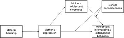Examining family processes linked to adolescent problem behaviors in single-mother families: The moderating role of school connectedness